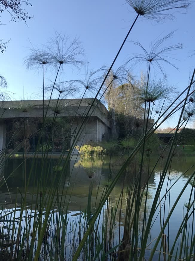 Place Parque Gulbenkian