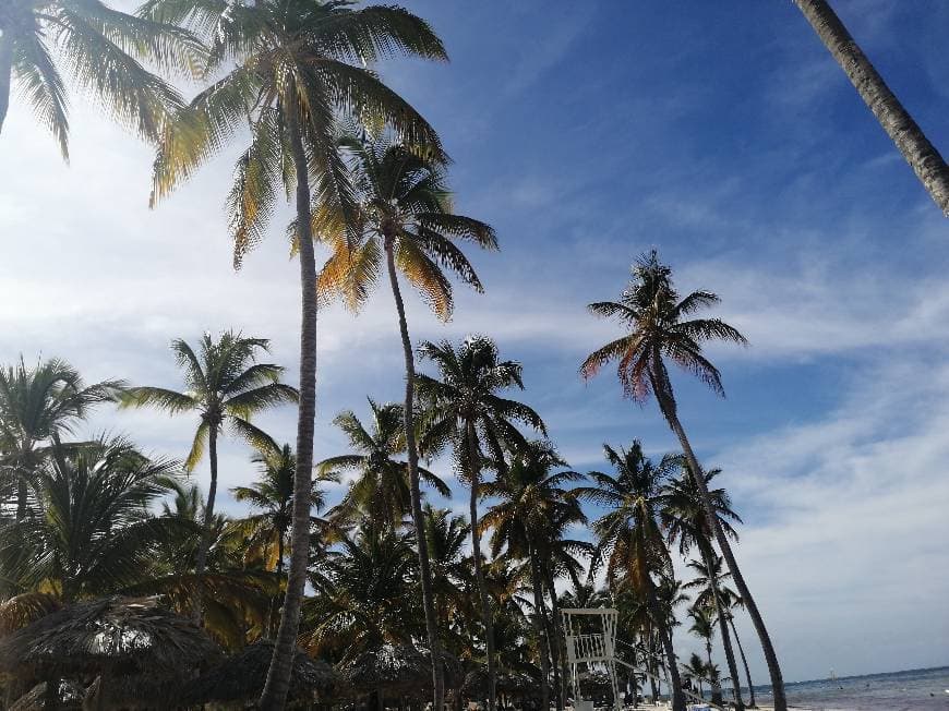 Place Catalonia Bavaro Beach, Golf & Casino Resort