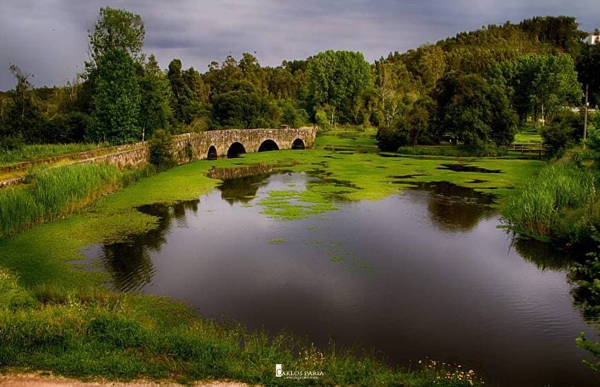 Lugar Ponte medieval do Rio Marnel