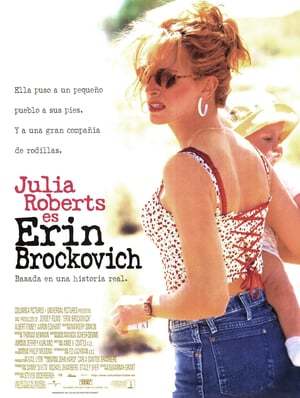 Película Erin Brockovich