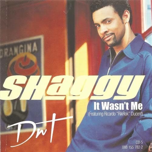 Canción Shaggy - It wasn't me 