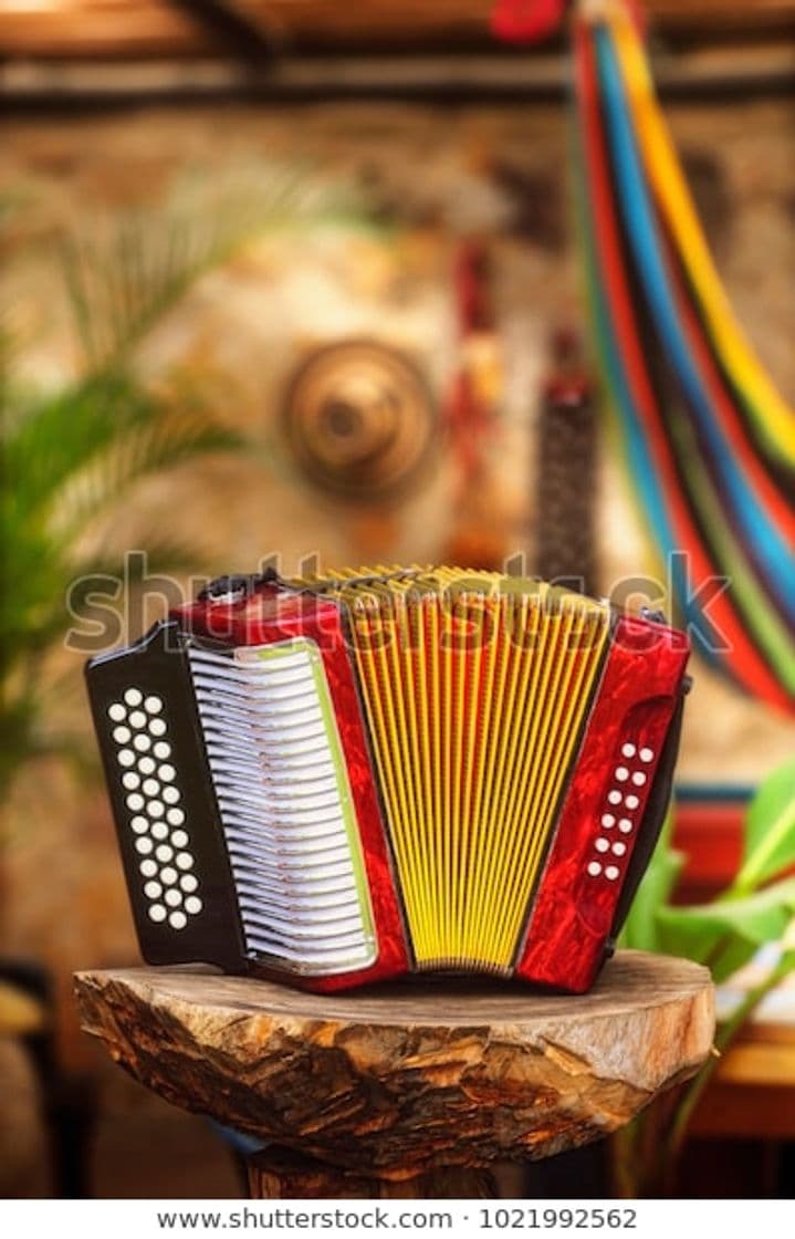 Moda VALLENATO