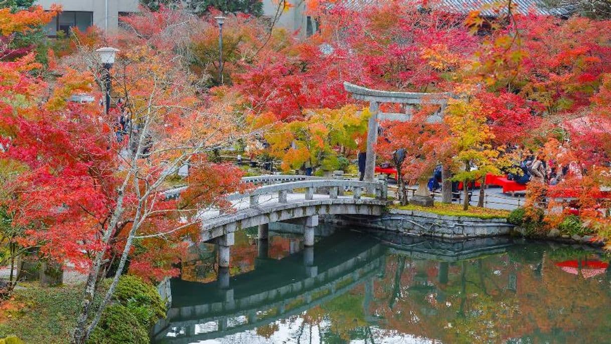 Place Eikan-do Zenrin-ji