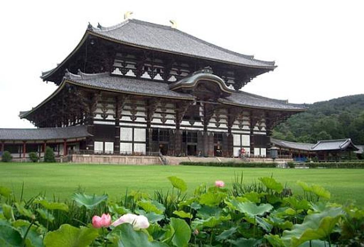 Place Great Buddha Hall (Daibutsu-den) - Todaiji