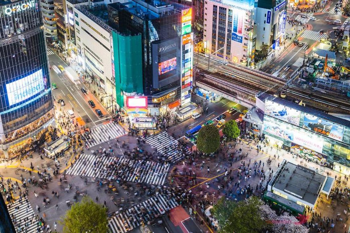 Place Shibuya Crossing