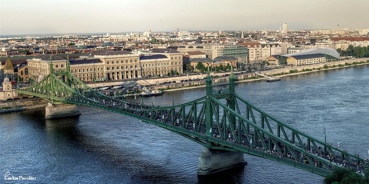 Lugar Puente de la Libertad