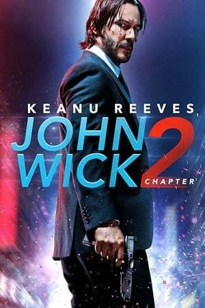 Movie John Wick Chapter 2: Wick-vizzed