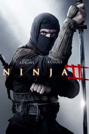 Movie Ninja: Shadow of a Tear