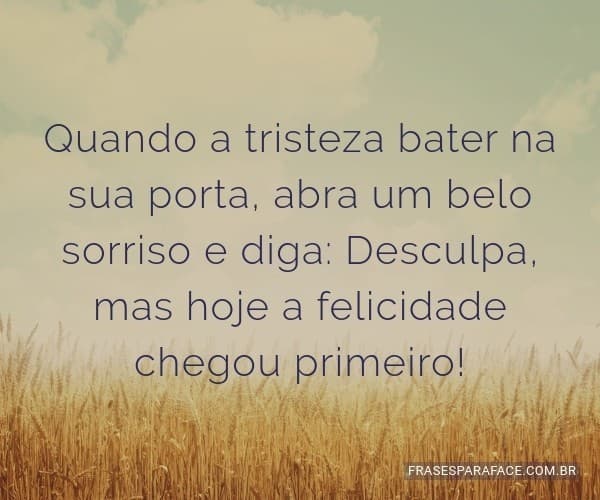 Libro Como Cuidar de Um Chihuahua: Tudo Que Você Precisa Saber Sobre Os