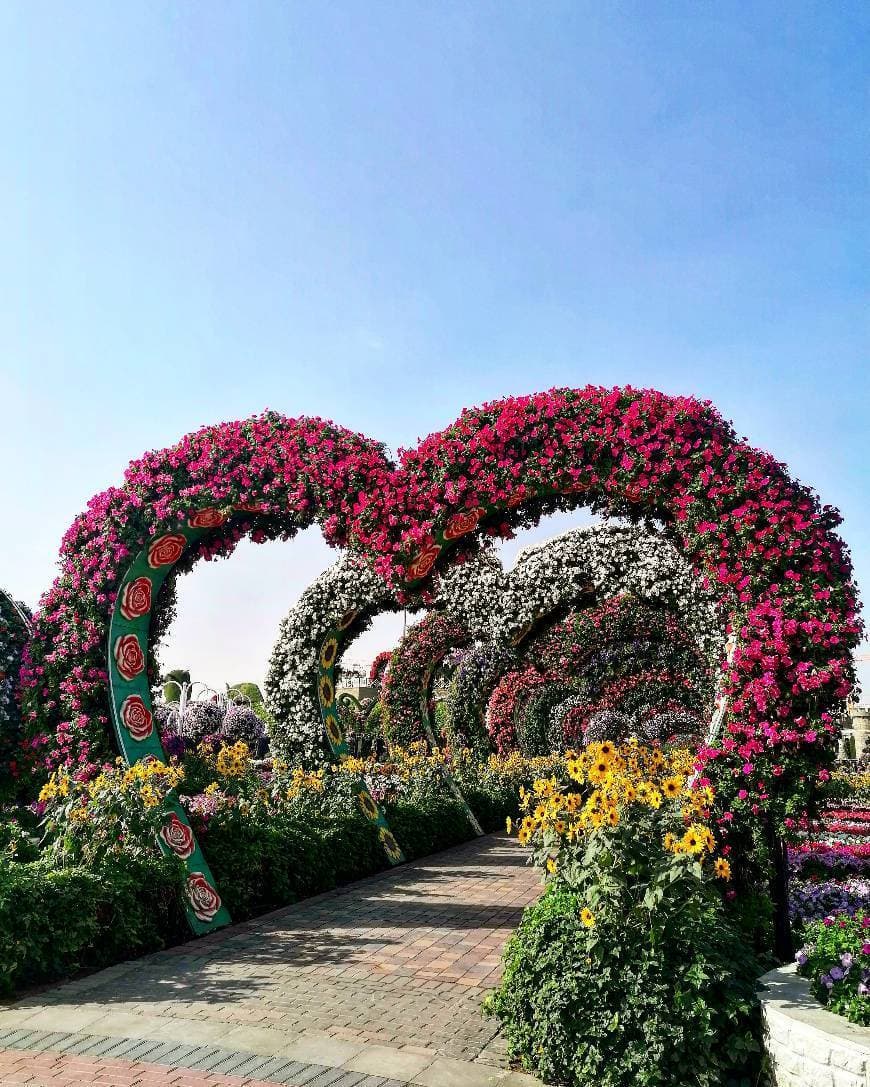 Place Miracle Garden