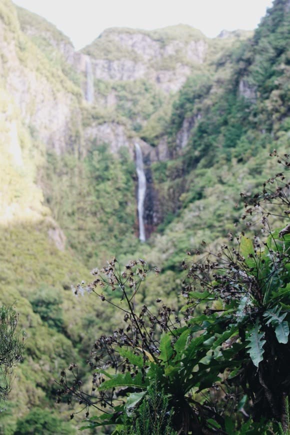 Place PR6 Levada das 25 Fontes / Levada do Risco