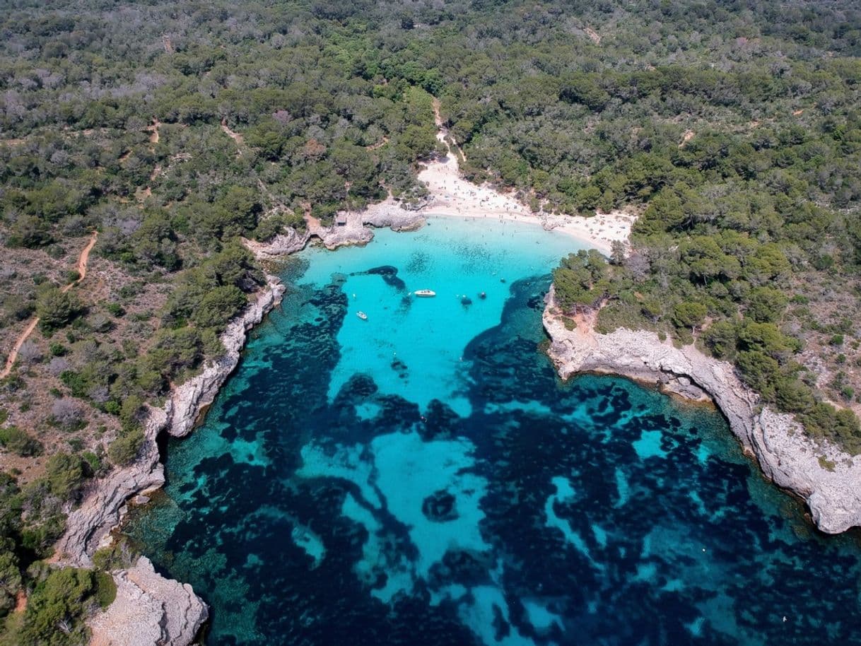 Place Cala en turqueta