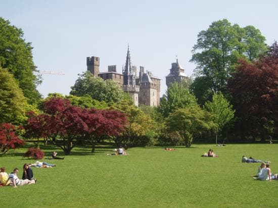 Place Bute Park