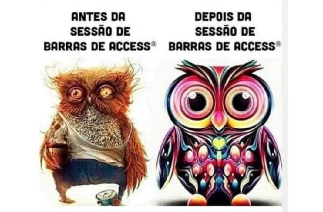 Moda Barras de Access 