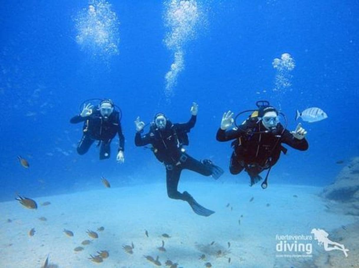 Place Fuerteventura Diving