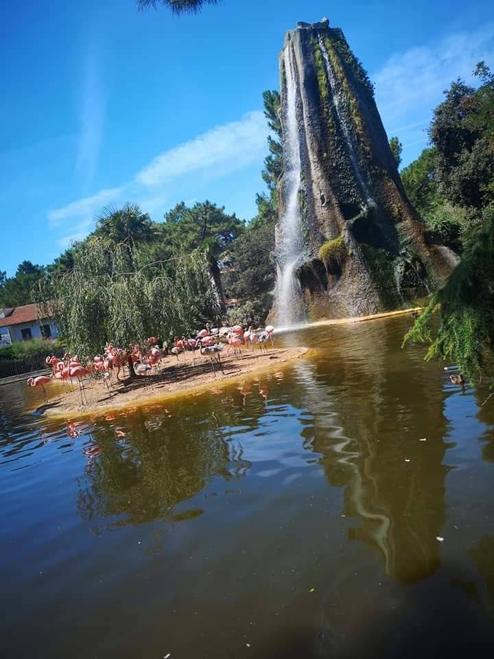 Place Zoológico de la Palmyre