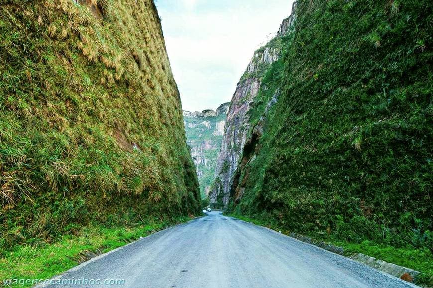 Lugar Serra do Corvo Branco