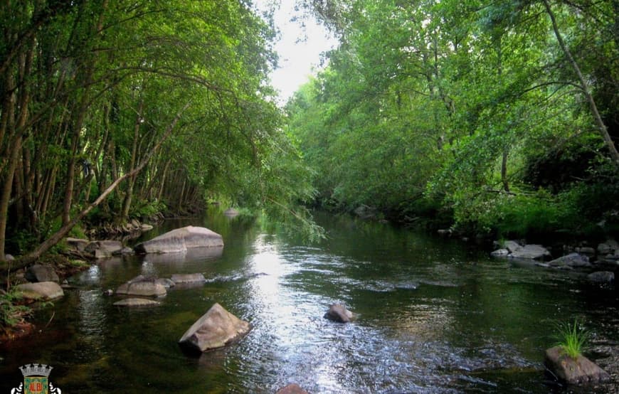 Lugar Parque do Corgo