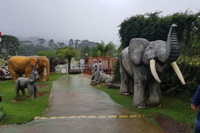 Lugar Morro do Elefante