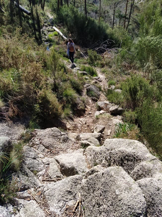 Lugar Peneda-Gerês National Park