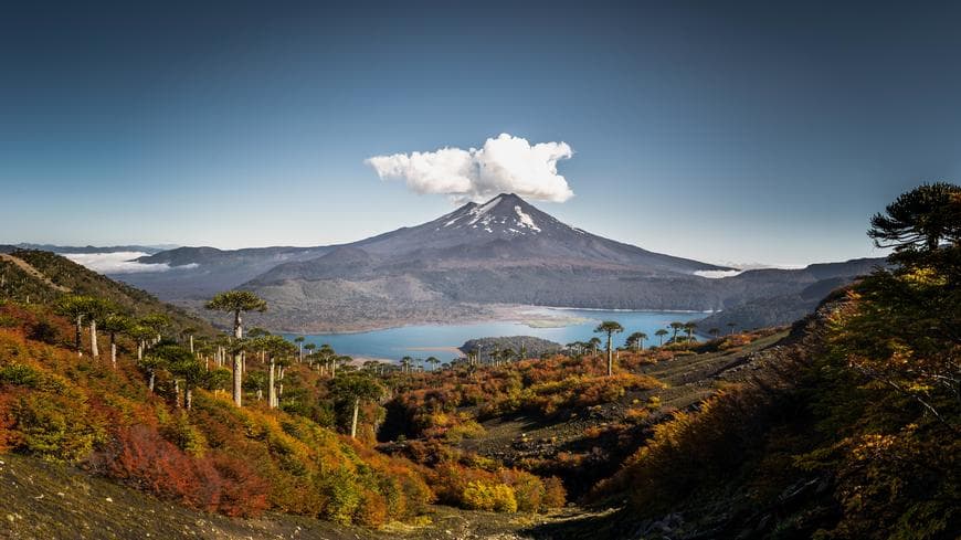 Lugar Parque Nacional Conguillio