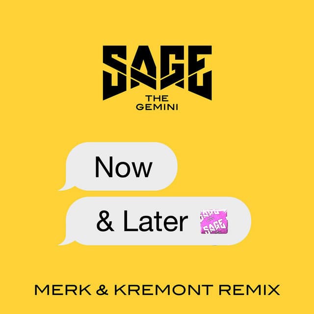 Music Now and Later - Merk & Kremont Remix