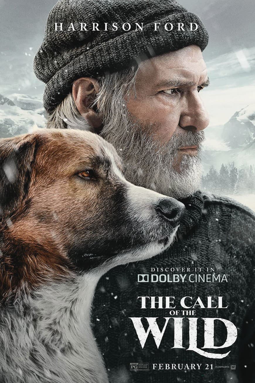 Película The call of the wild 