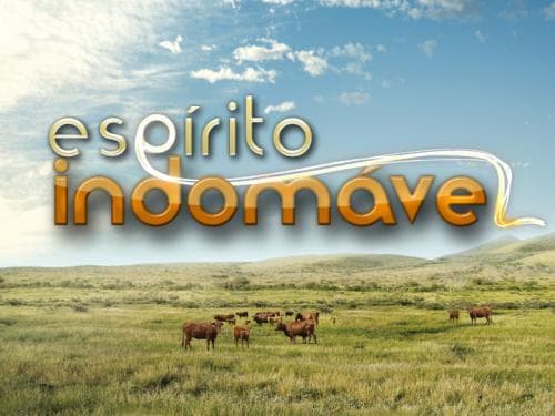 Serie Espírito Indomável | TVI Player