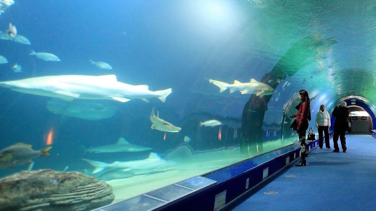 Lugar Aquarium Valencia