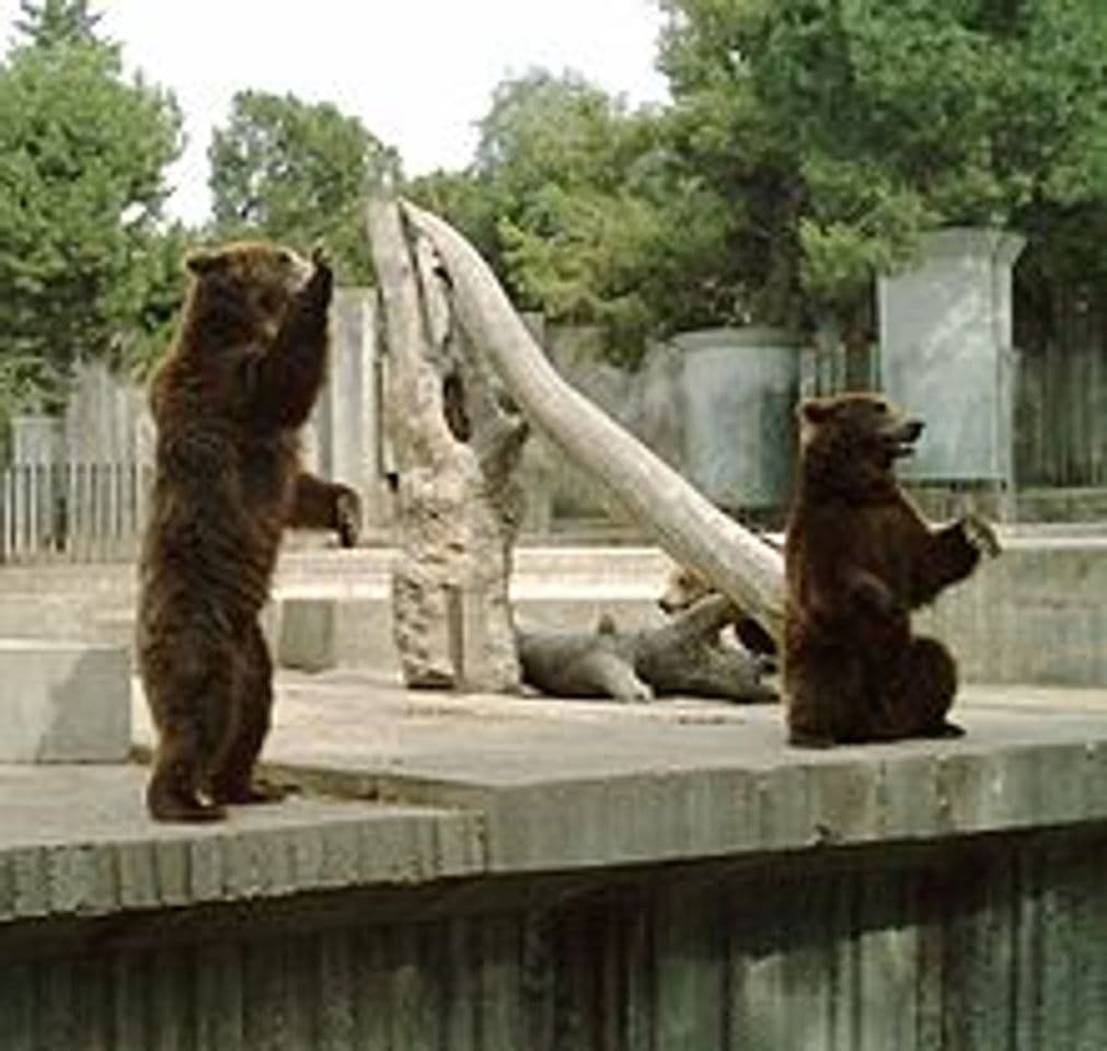 Lugar Zoo Aquarium de Madrid