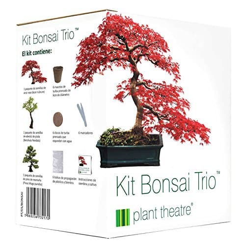 Producto Plant Theatre Kit Bonsai Trio