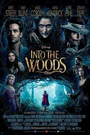 Película Into the Woods