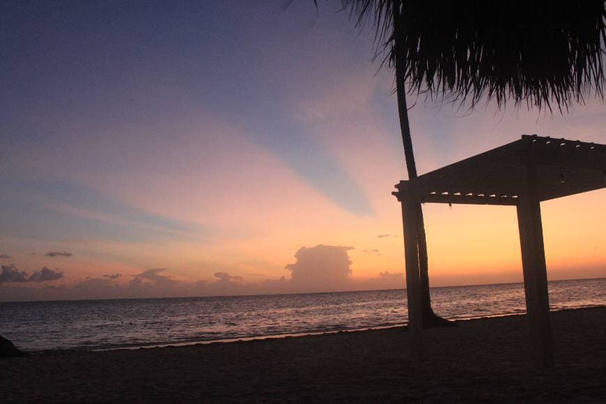 Lugar Catalonia Bavaro Beach, Golf & Casino Resort