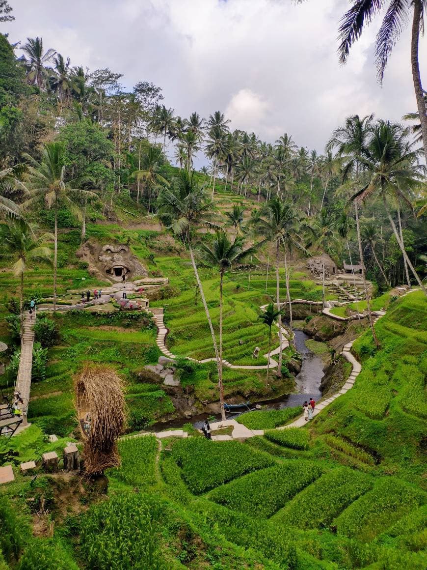 Lugar Alas Harum Bali