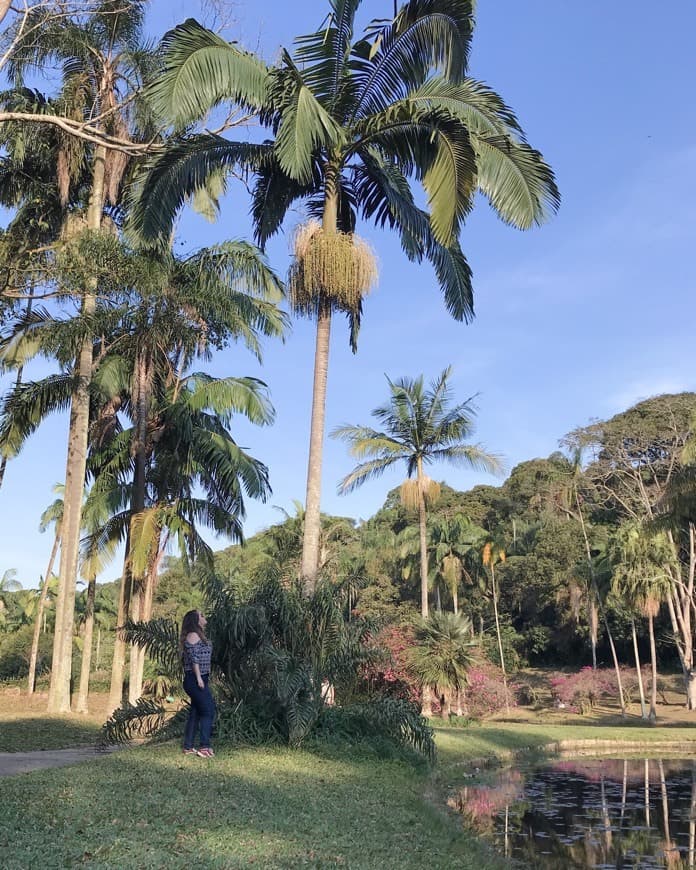 Lugar Jardim Botânico