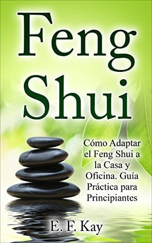 Book Feng Shui