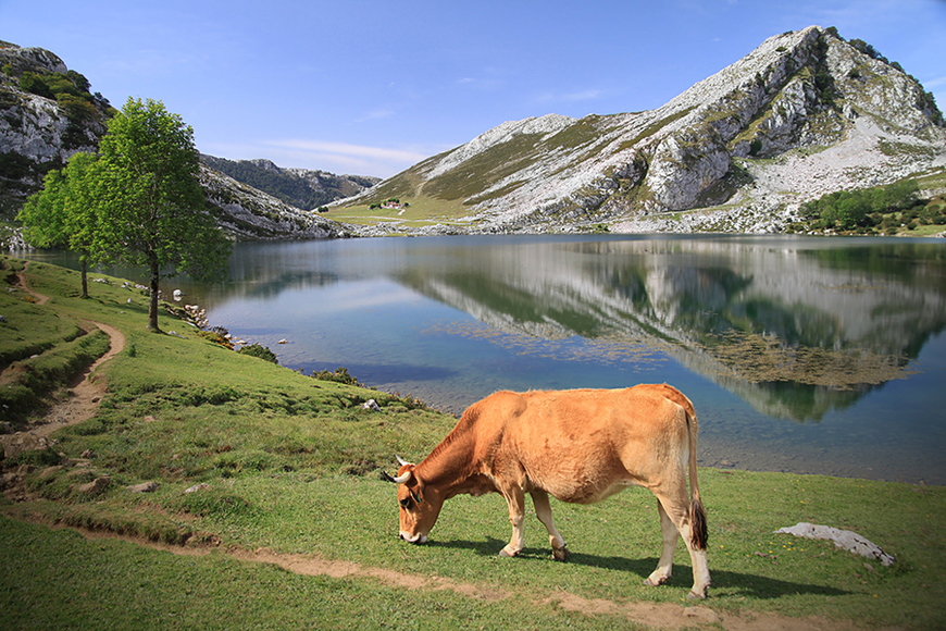 Lugar Lagos Covadonga