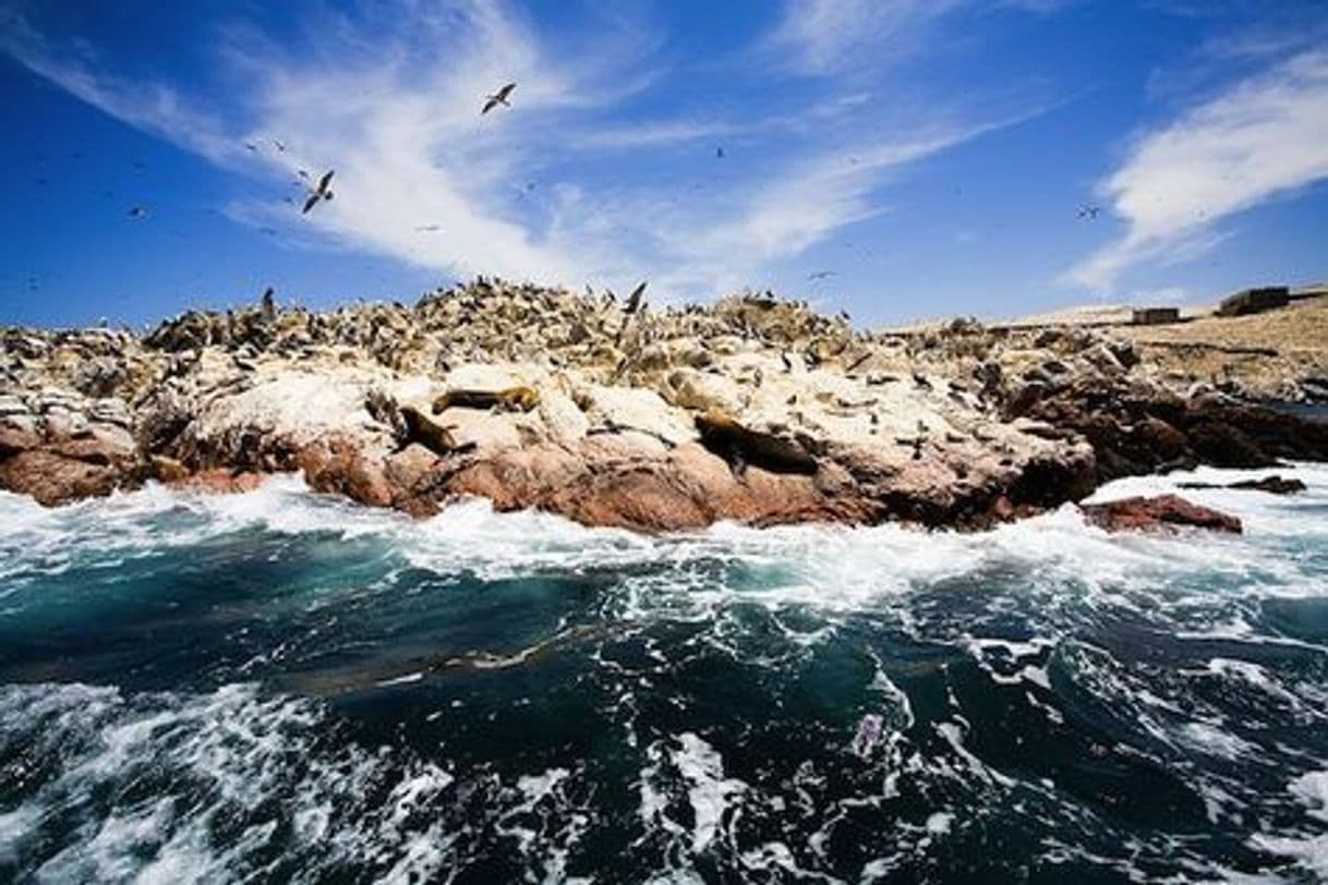 Lugar Islas Ballestas