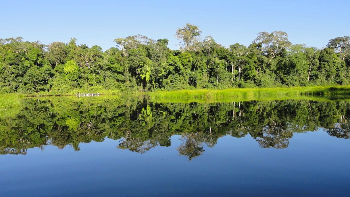 Lugar Reserva Nacional Tambopata