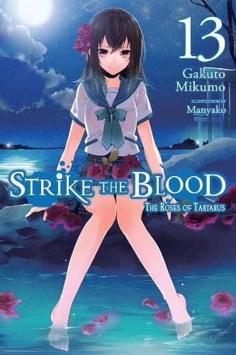 Book Strike the Blood, Vol. 13