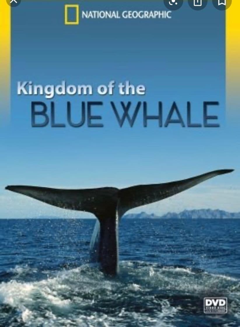 Moda Watch Kingdom of the Blue Whale | Disney+