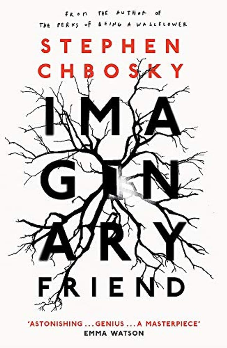 Libro Imaginary Friend