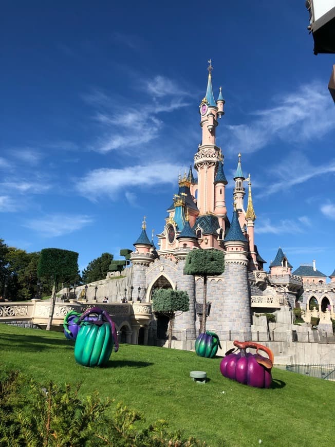 Place Disneyland Paris