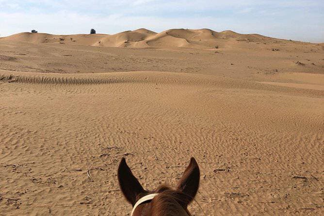 Lugar Passeio no deserto