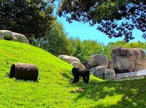 Place Zoo Atlanta