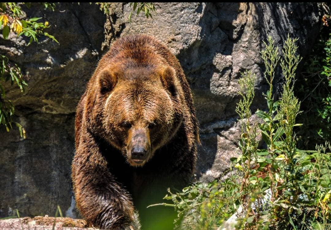 Place Woodland Park Zoo