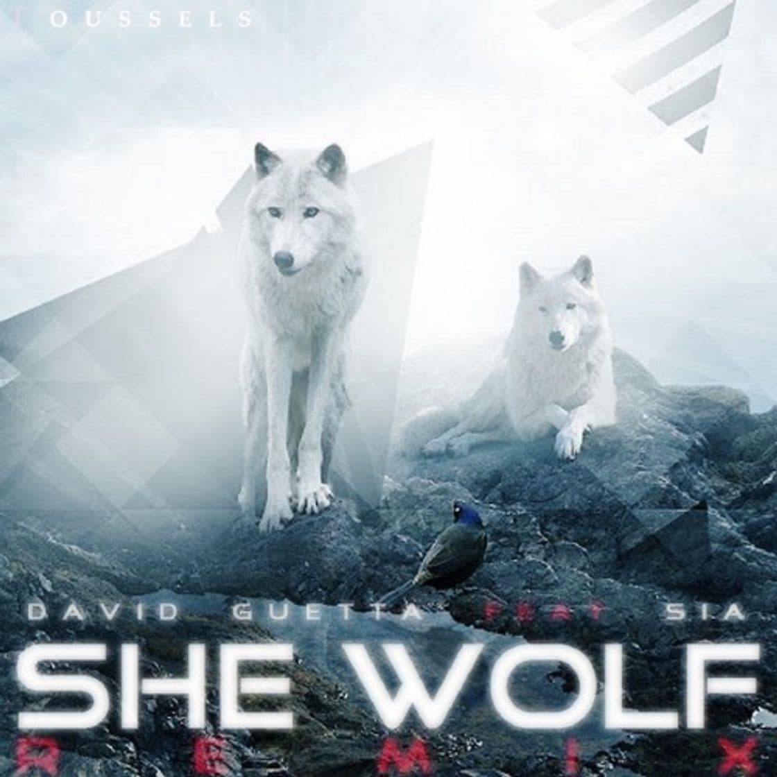 Canción She Wolf (Falling to Pieces) [feat. Sia]