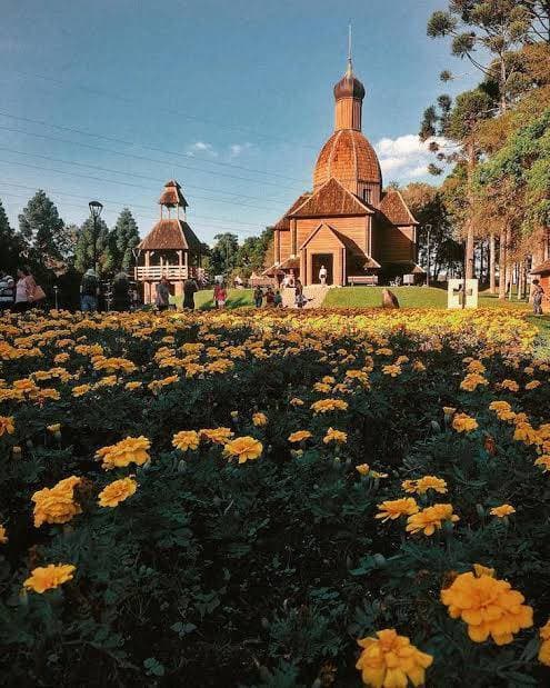 Lugar Curitiba 