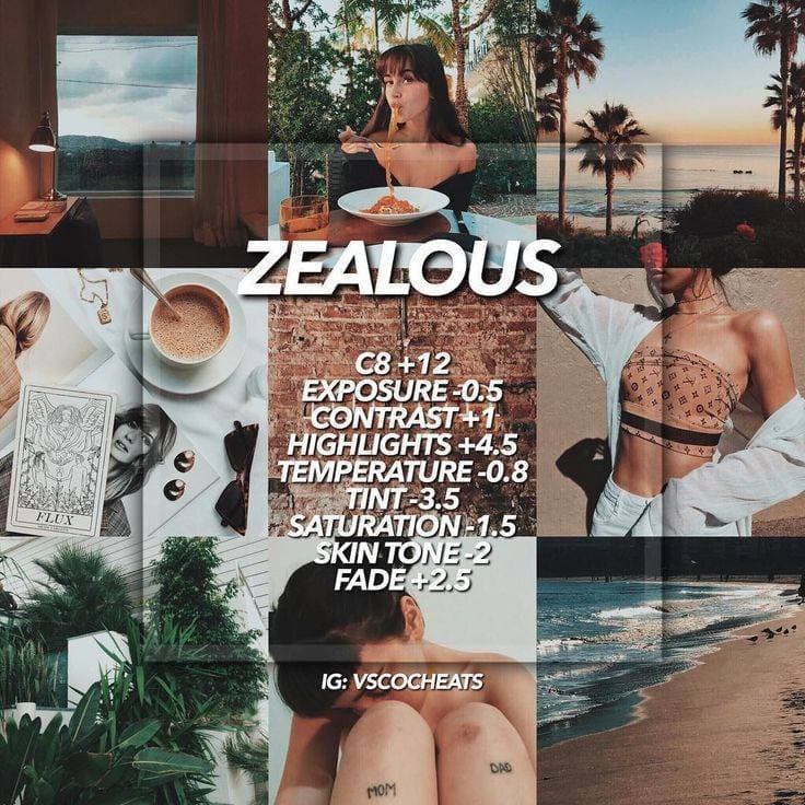 Moda Zealous