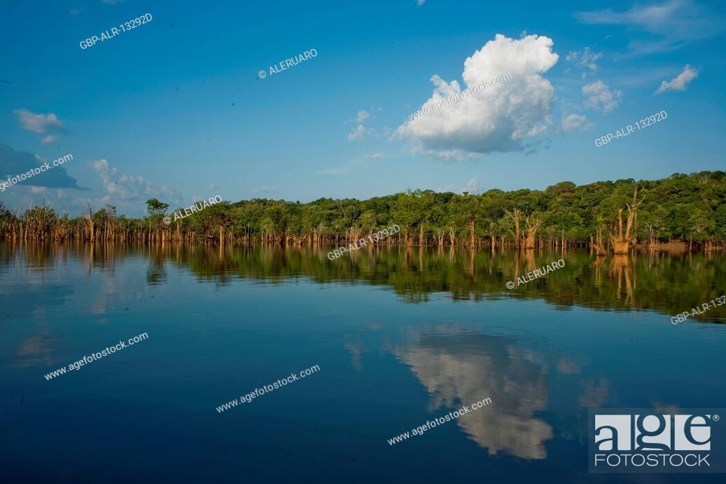 Lugar Amazonia